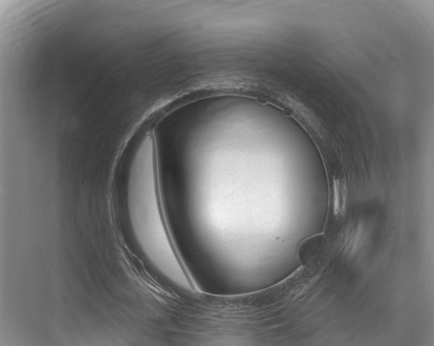 X0000076080723200609221018