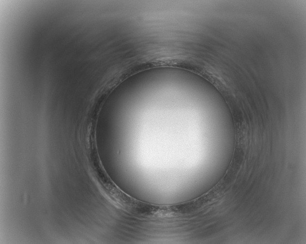 X0000076080742200609221019