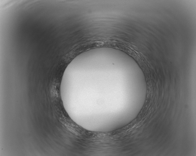 X0000076080770200609221018
