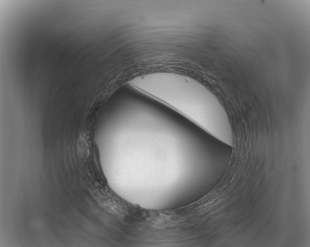 X0000076080772200609221018
