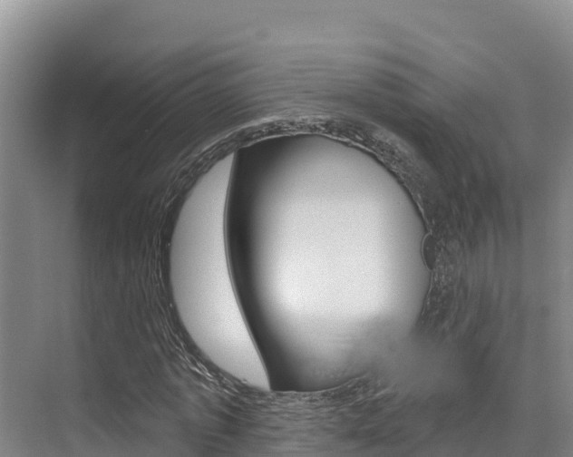 X0000076080773200609221018