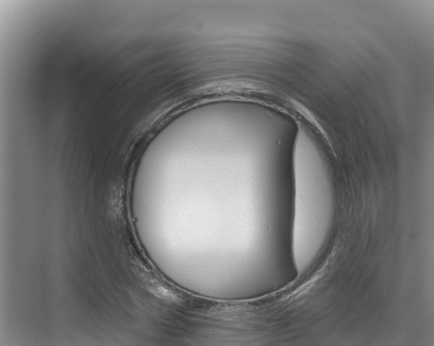 X0000076080778200609221018