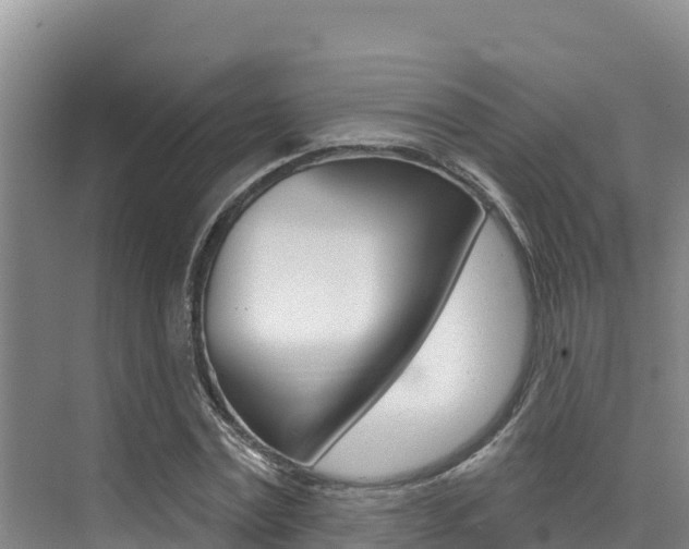 X0000076080779200609221018