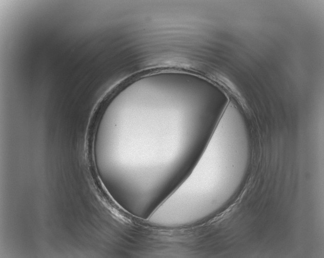 X0000076080780200609221018