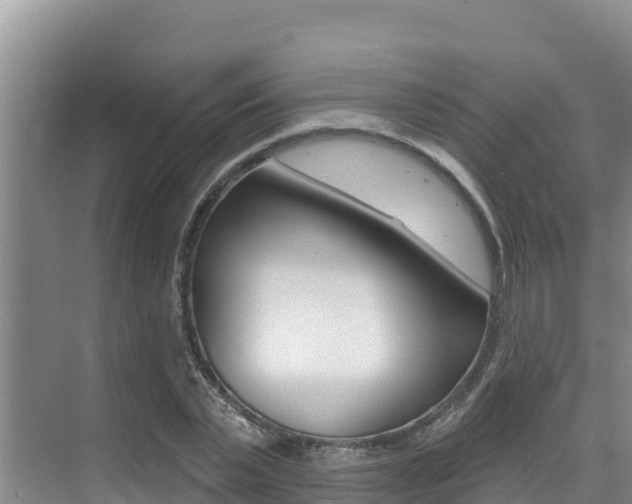 X0000076080783200609221018