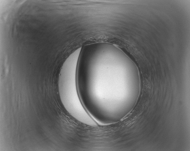 X0000076080818200609221017