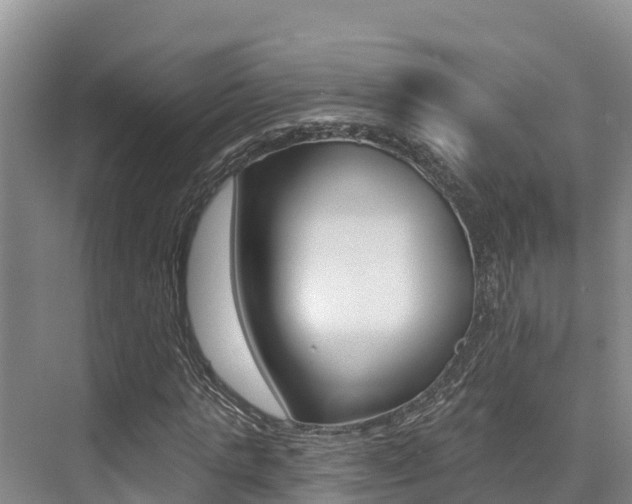 X0000076080821200609221017
