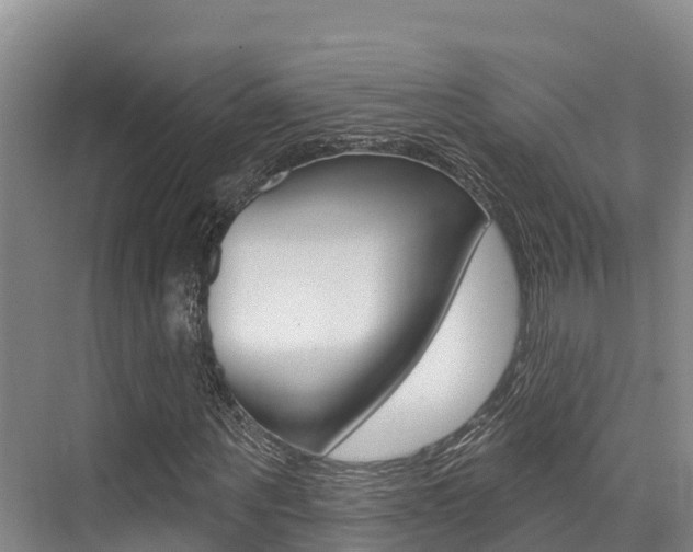 X0000076080867200609221017