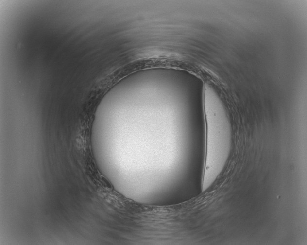X0000076080869200609221017