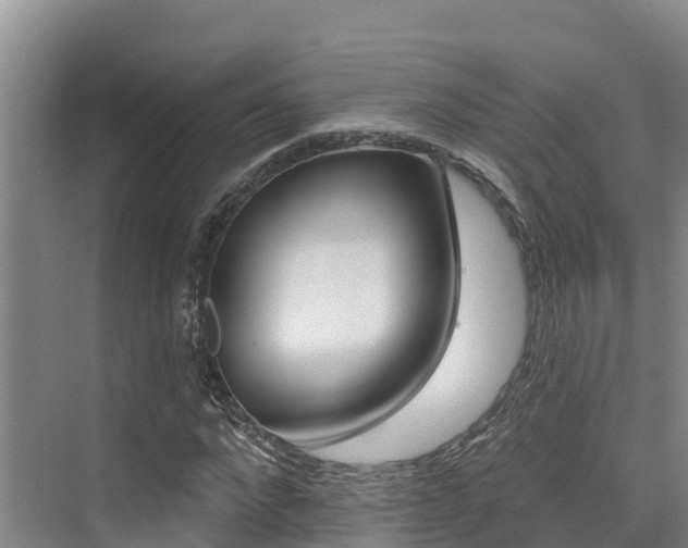 X0000076080872200609221016