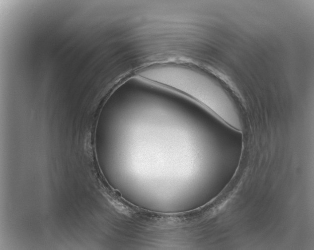 X0000076080881200609221016