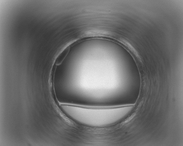 X0000076080885200609221016