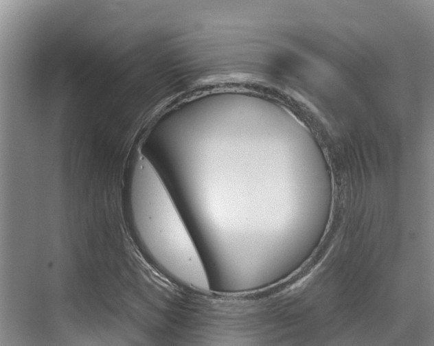 X0000076080921200609221015