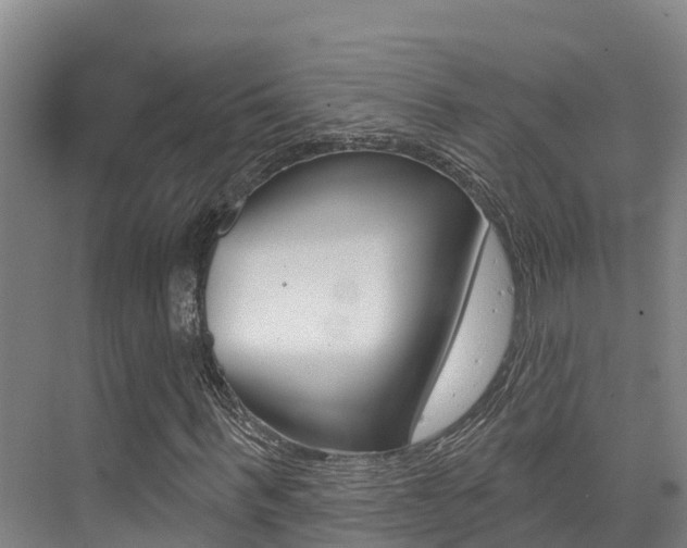 X0000076080963200609221015