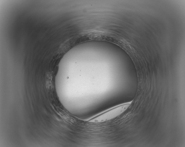 X0000076080964200609221015