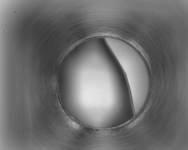 X0000076080993200609221014