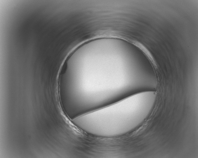 X0000076081004200609221014