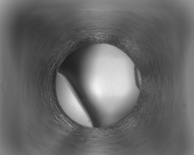 X0000076081009200609221013