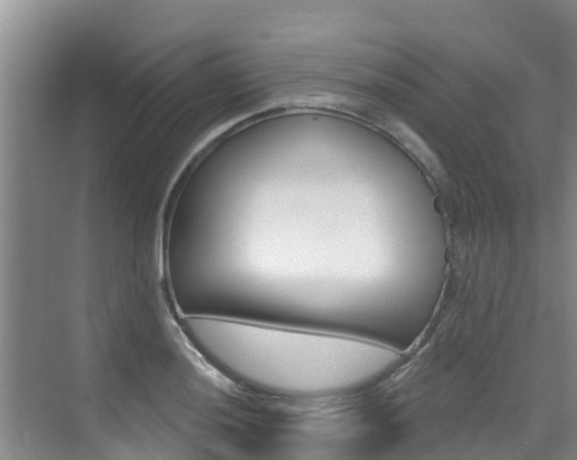 X0000076081036200609221014