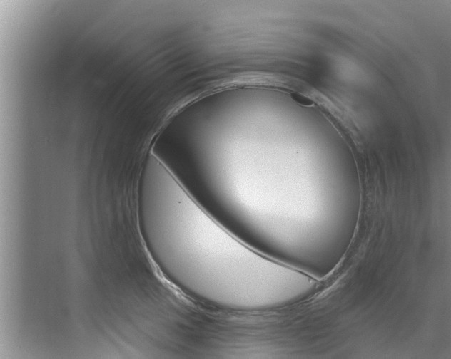 X0000076081049200609221014