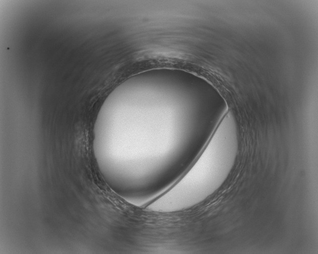 X0000076081061200609221013
