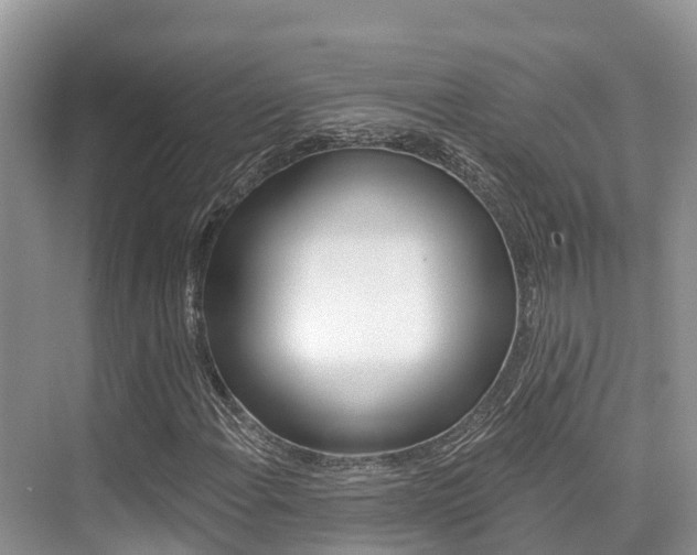 X0000076081108200609221012