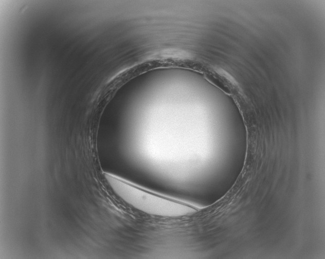 X0000076081112200609221012