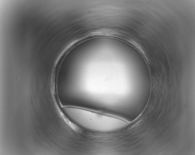 X0000076081131200609221012