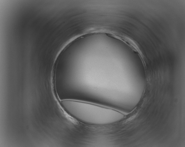 X0000076081149200609221012