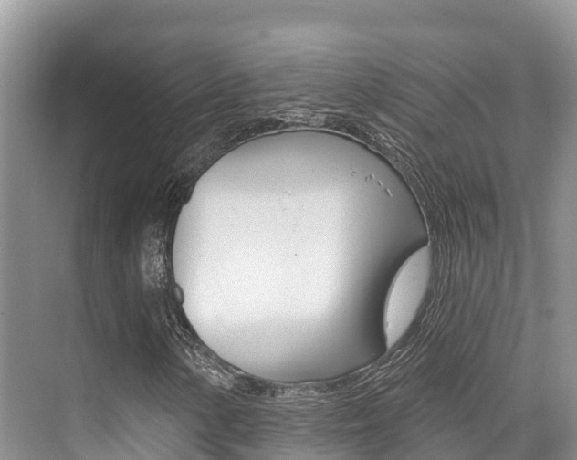 X0000076081154200609221012