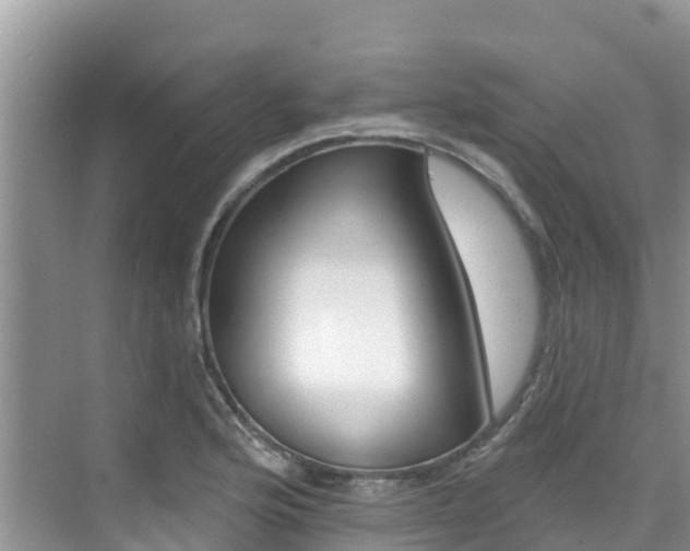X0000076081176200609221011