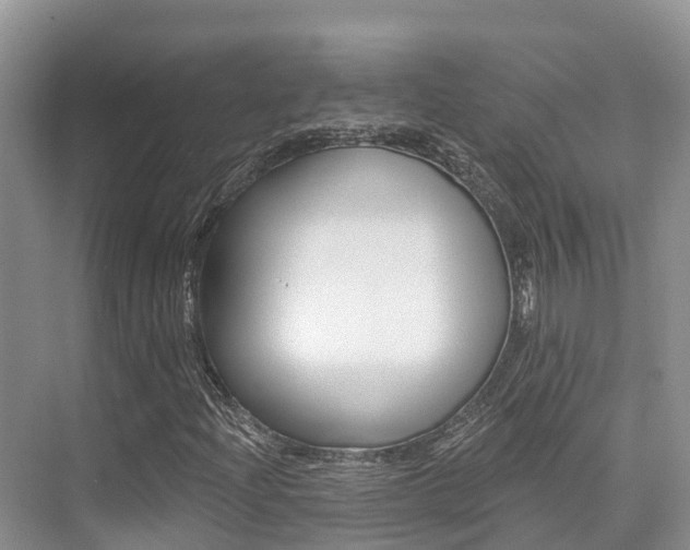 X0000076081204200609221010