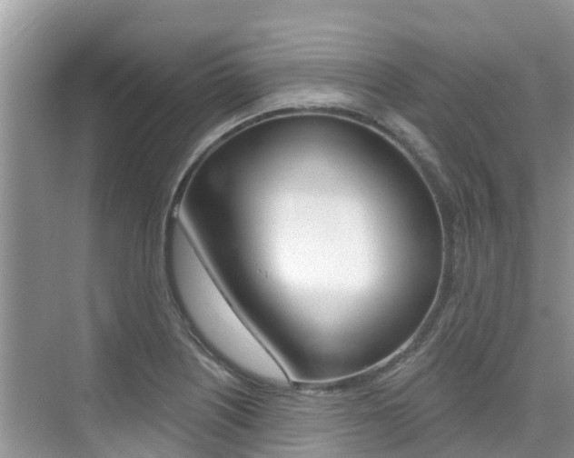 X0000076081226200609221011