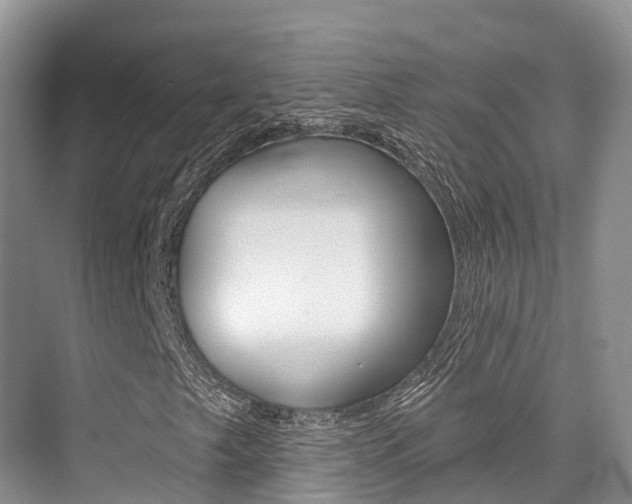 X0000076081249200609221010