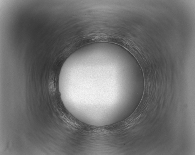 X0000076081250200609221010