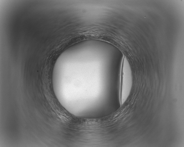 X0000076081297200609221008