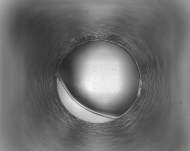 X0000076081298200609221008