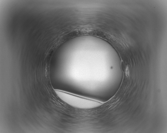 X0000076081299200609221009