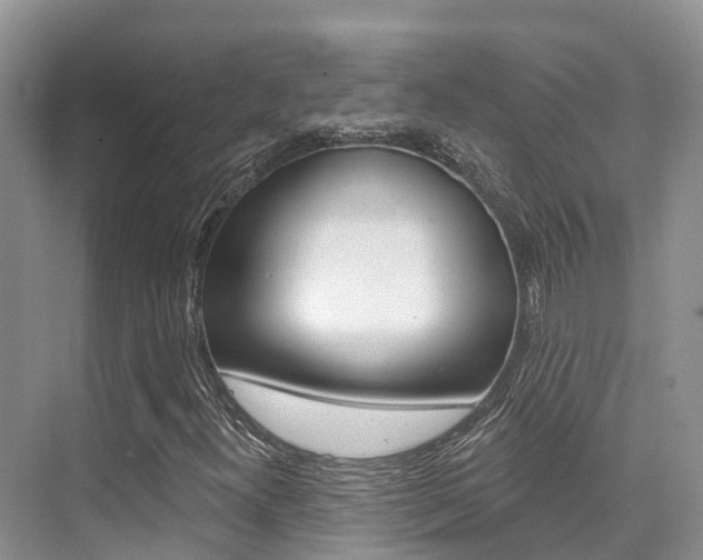 X0000076081300200609221009