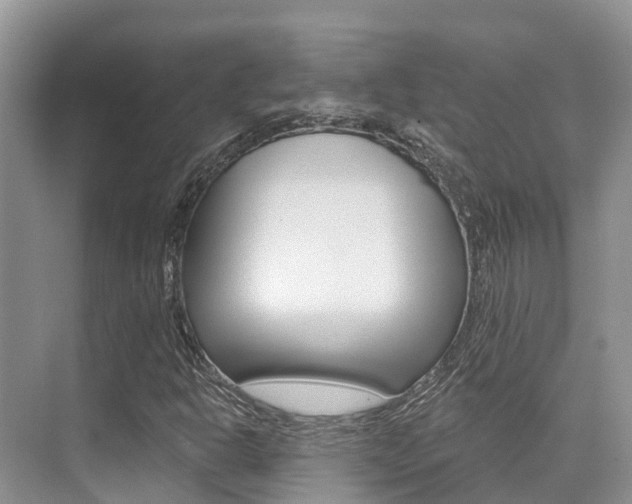 X0000076081302200609221009