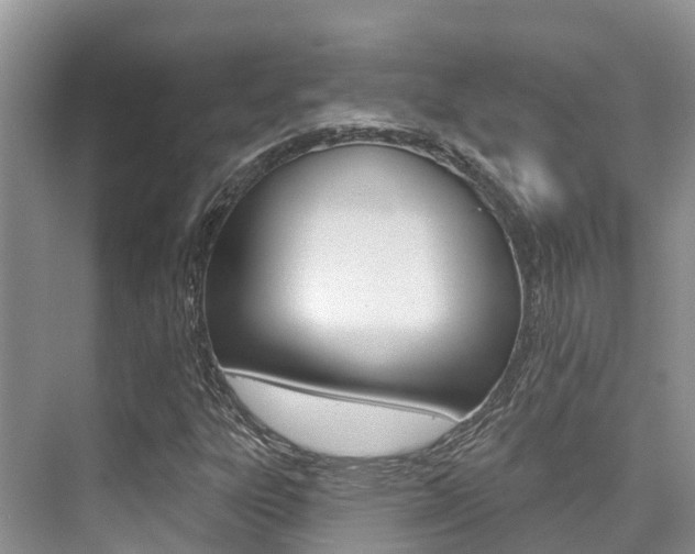 X0000076081303200609221009