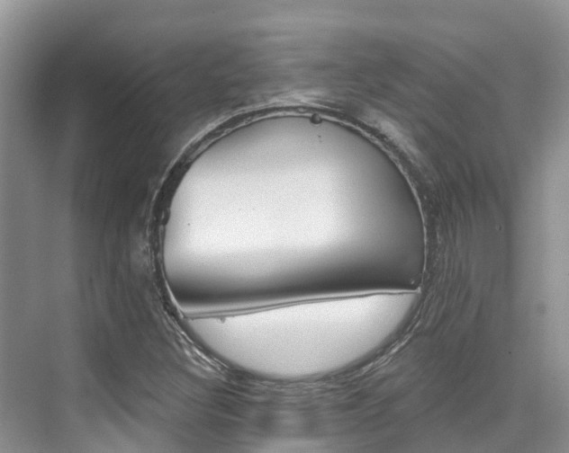 X0000076081308200609221009