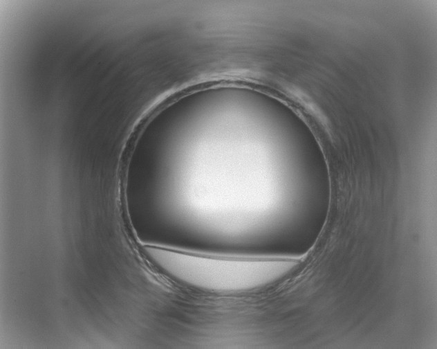 X0000076081316200609221009