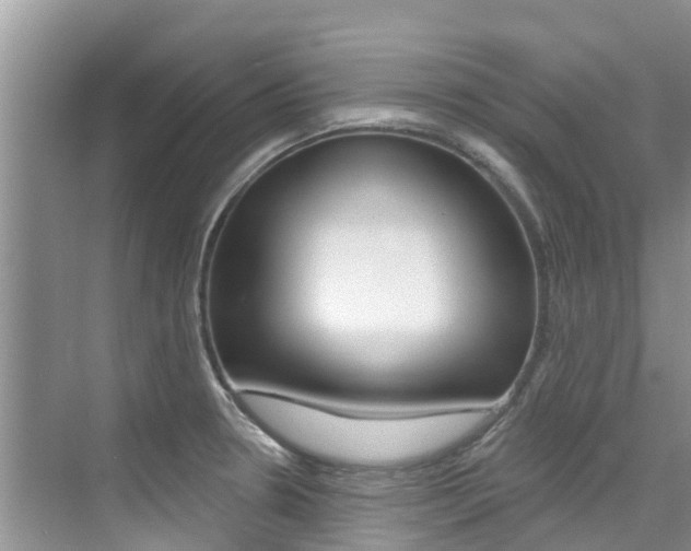 X0000076081330200609221009