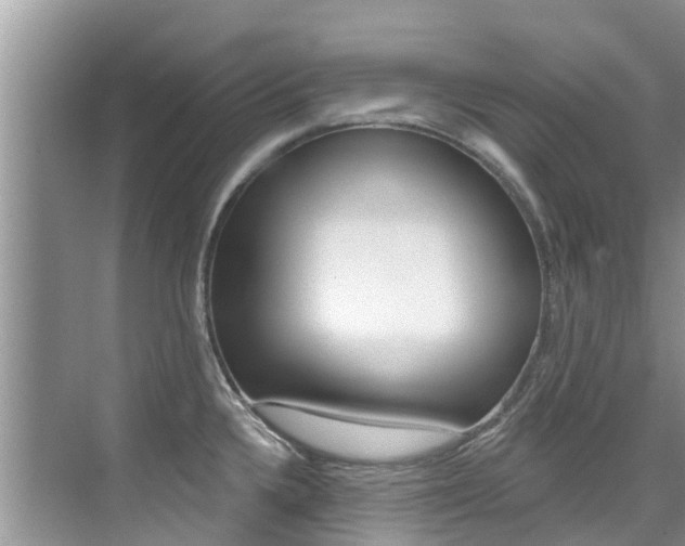 X0000076081336200609221009