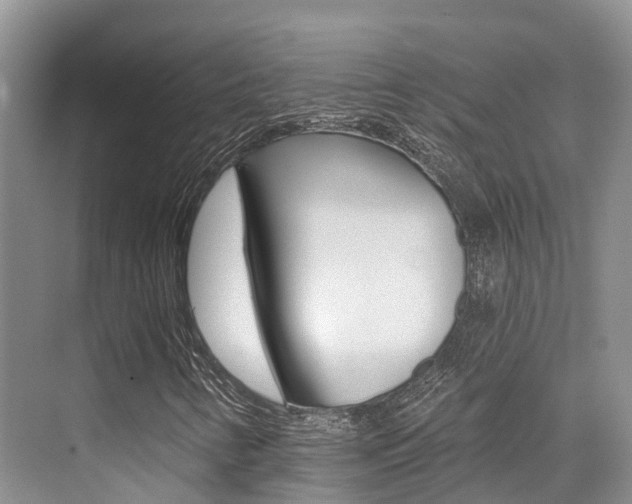 X0000076081346200609221008
