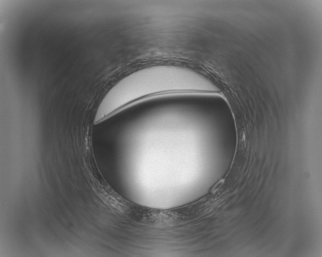 X0000076081348200609221008