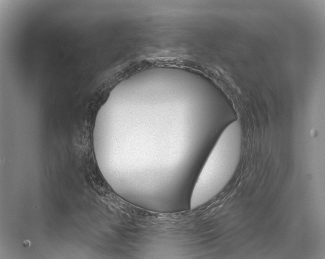 X0000076081350200609221008