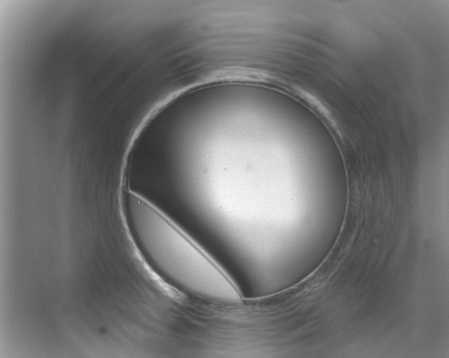 X0000076081379200609221008
