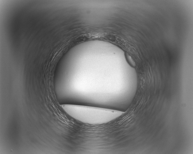 X0000076081393200609221007